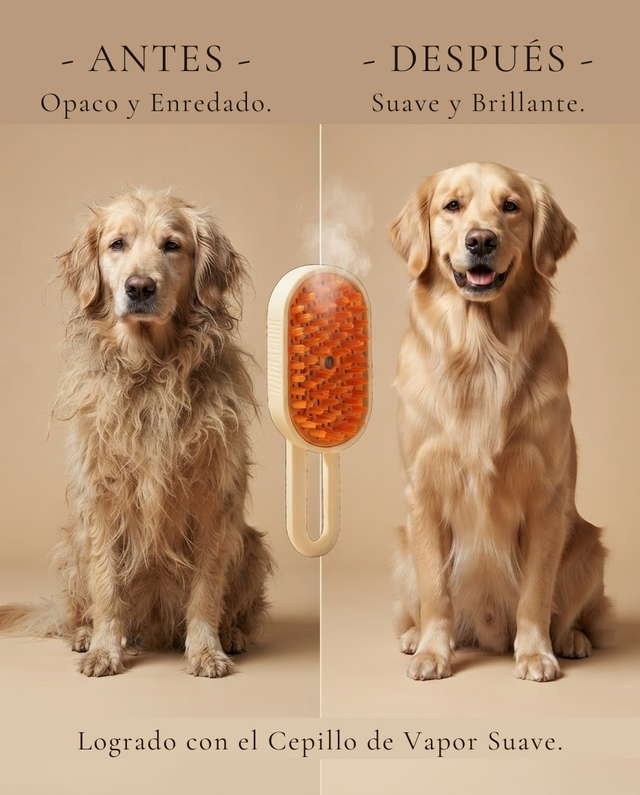 Perro antes y despues del cepillado con vapor